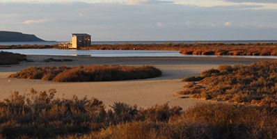 Stagno di Corru S'Ittiri, Stagni di San Giovanni e Marceddì (2.610 ha)