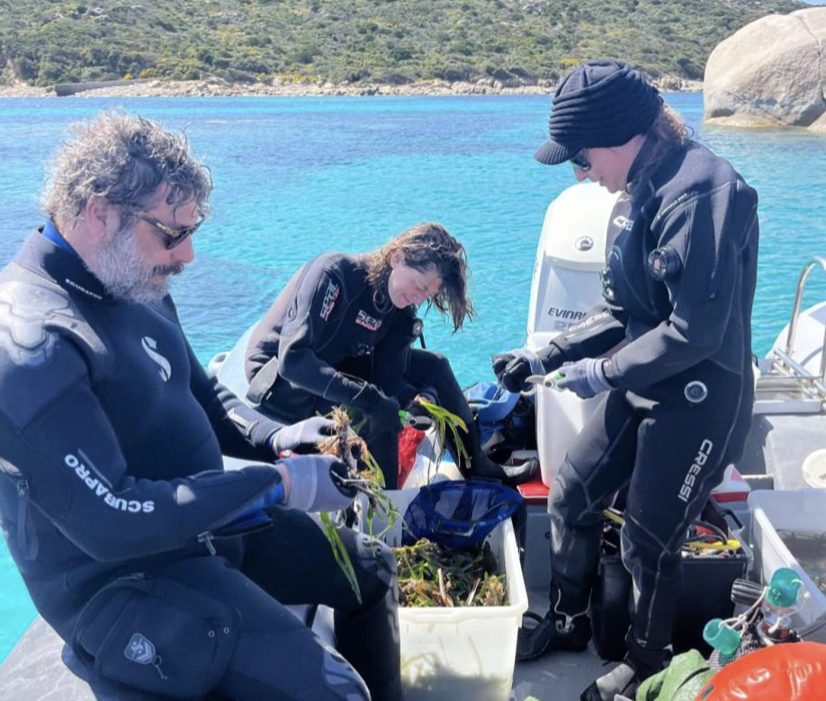 ARTEMIS, from pilot actions to Mediterranean-scale impact: MEDSEA at the final conference in Menorca