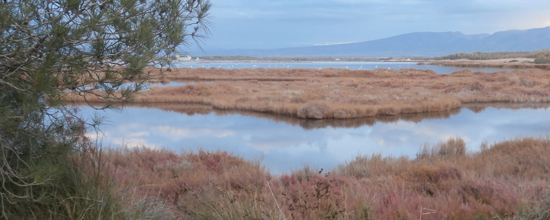 22 march 2018 – World Water Day